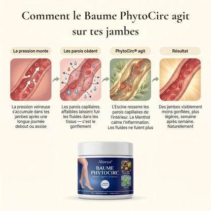 Baume PhytoCirc Alovya®