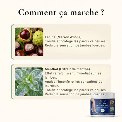 Baume PhytoCirc Alovya®